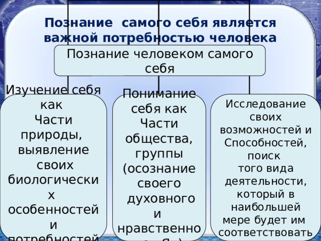 Познание самого себя является важной потребностью человека Познание человеком самого себя Исследование своих Понимание себя как Изучение себя как  возможностей и Части природы, Части общества, группы выявление Способностей, поиск (осознание своего того вида деятельности,  духовного и  своих биологических нравственного «Я») особенностей который в наибольшей и потребностей мере будет им соответствовать 