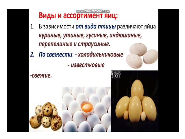 Презентация на тему яйца и яйца продукты