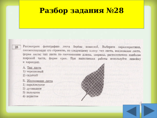 Описать листья по плану 6 класс биология