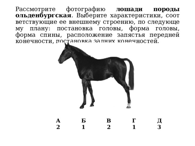 Рассмотрите фотографию лошади с мелкими белыми пятнами