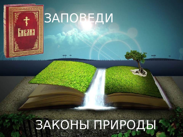 ЗАПОВЕДИ Библия - http://www.oranta-book.ru/img/katalog/450/3794.jpg Книга природы - http://st.gdefon.ru/wallpapers_original/wallpapers/304075_otkrytaya_-kniga_-prirody_1920x1080_(www.OboiFon.ru).jpg ЗАКОНЫ ПРИРОДЫ  