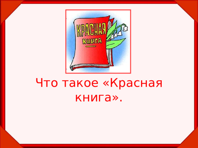 Что такое «Красная книга». 