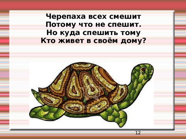 Черепаха всех смешит Потому что не спешит. Но куда спешить тому Кто живет в своём дому?   