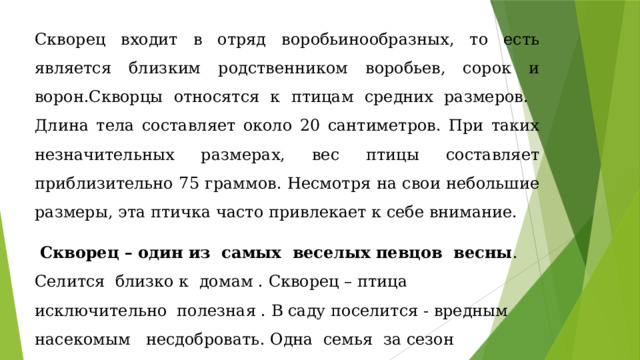 Какую пользу приносят скворцы. Какую пользу приносят скворцы к человеку вред и польза.