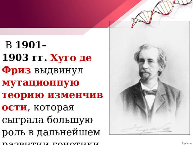   В  1901–1903 гг.   Хуго  де Фриз  выдвинул  мутационную теорию   изменчивости , которая сыграла большую роль в дальнейшем развитии генетики. 