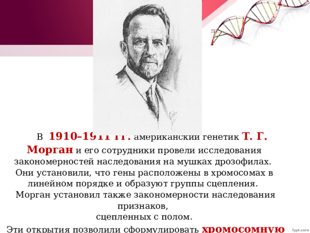 В   1910–1911 гг.  американский генетик  Т. Г. Морган  и его сотрудники провели исследования закономерностей наследования на мушках дрозофилах.  Они установили, что гены расположены в хромосомах в линейном порядке и образуют группы сцепления.   Морган установил также закономерности наследования признаков, сцепленных с полом.   Эти открытия позволили сформулировать  хромосомную теорию наследственности. 