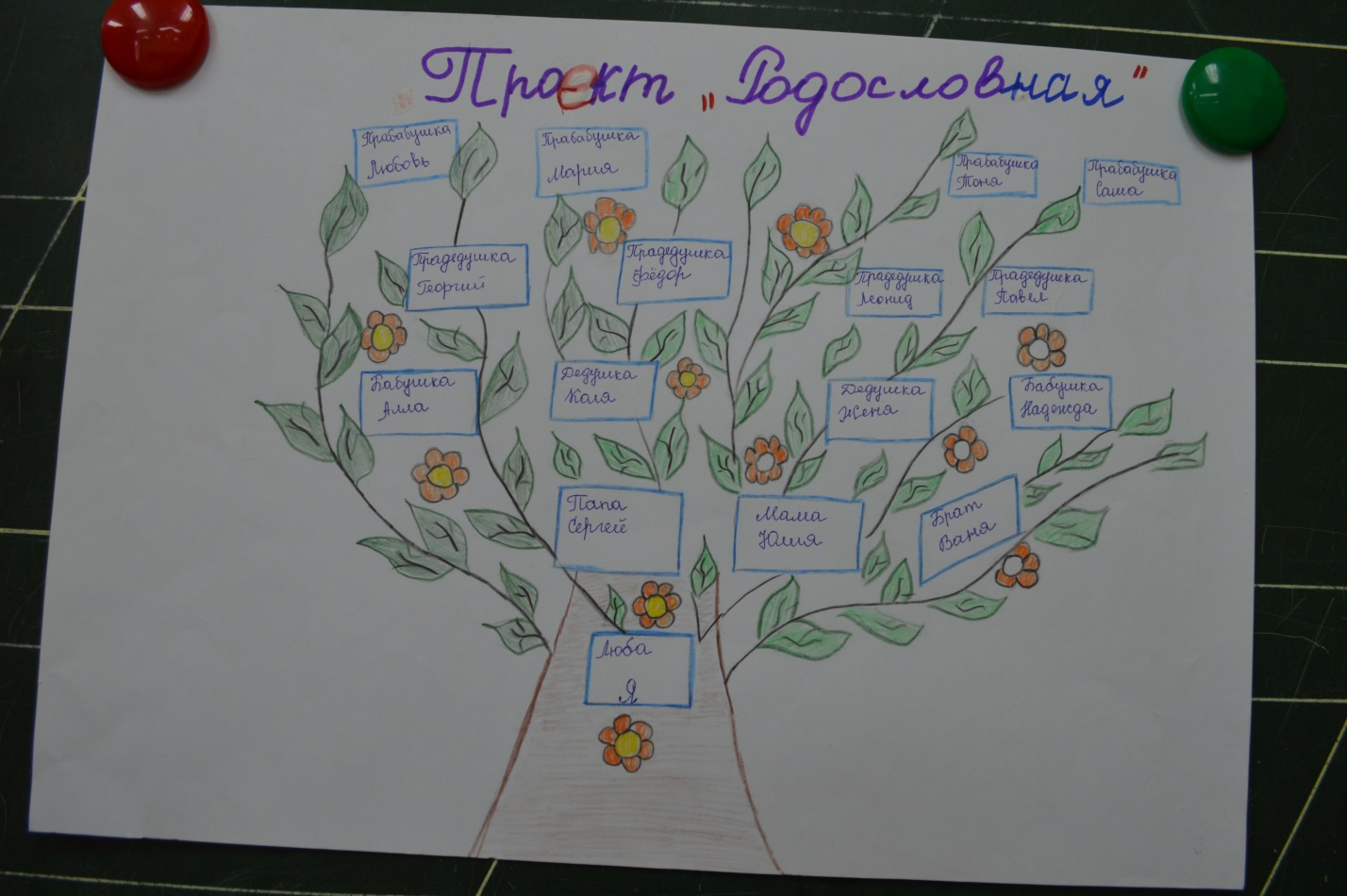 Проект по кубановедению моя семья