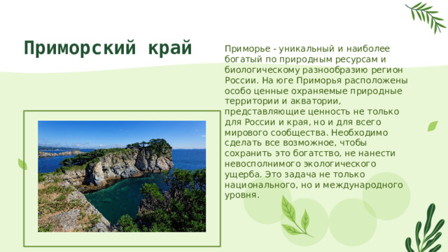 Приморский край Приморье - уникальный и наиболее богатый по природным ресурсам и биологическому разнообразию регион России. На юге Приморья расположены особо ценные охраняемые природные территории и акватории, представляющие ценность не только для России и края, но и для всего мирового сообщества. Необходимо сделать все возможное, чтобы сохранить это богатство, не нанести невосполнимого экологического ущерба. Это задача не только национального, но и международного уровня. 