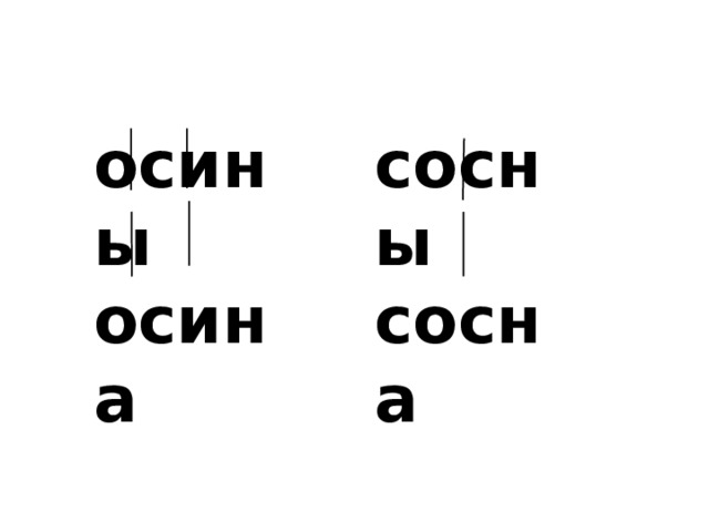 осины сосны осина сосна 