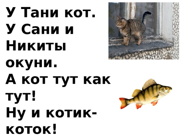 У Тани кот. У Сани и Никиты окуни. А кот тут как тут! Ну и котик-коток! Кот скок на окно. Кот скок с окна. 