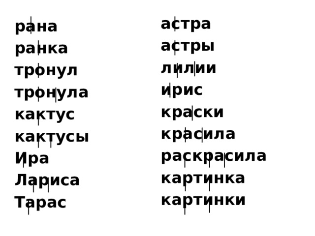 астра астры лилии ирис краски красила раскрасила картинка картинки рана ранка тронул тронула кактус кактусы Ира Лариса Тарас 
