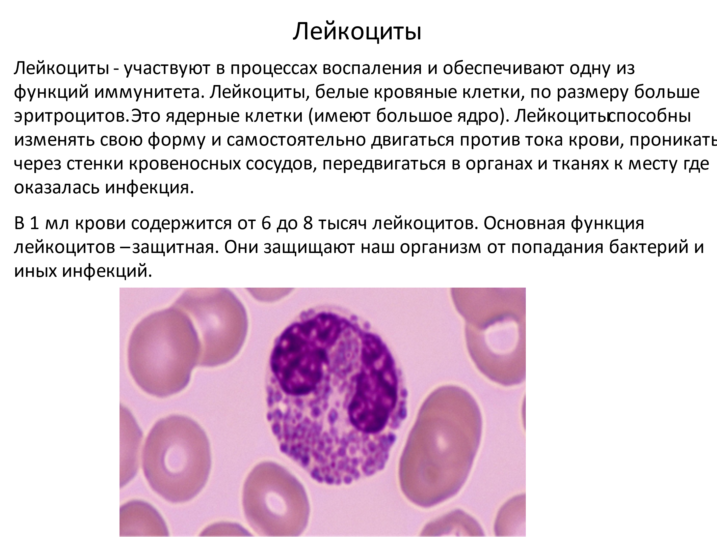 фанфик значение крови фото 19