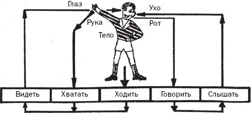 На рисунке показана схема расположения страниц книги: найдено 85 картинок