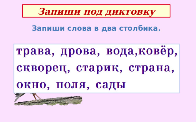 Запиши под диктовку Запиши слова в два столбика. 