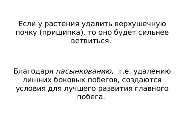Если у растения удалить верхушечную почку (прищипка), то оно будет сильнее ветвиться. Благодаря пасынкованию, т.е. удалению лишних боковых побегов, создаются условия для лучшего развития главного побега. 