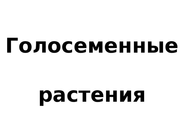 Голосеменные  растения 