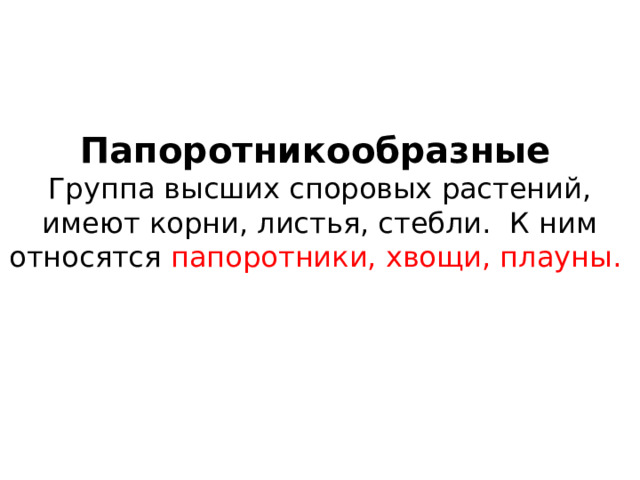К какой группе растений относятся папоротники
