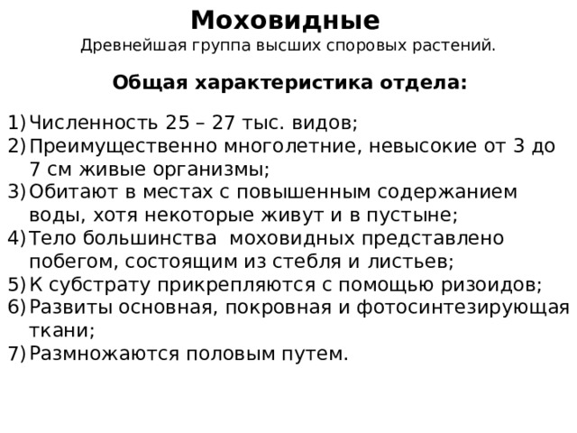 Моховидные  Древнейшая группа высших споровых растений. Общая характеристика отдела:  Численность 25 – 27 тыс. видов; Преимущественно многолетние, невысокие от 3 до 7 см живые организмы; Обитают в местах с повышенным содержанием воды, хотя некоторые живут и в пустыне; Тело большинства моховидных представлено побегом, состоящим из стебля и листьев; К субстрату прикрепляются с помощью ризоидов; Развиты основная, покровная и фотосинтезирующая ткани; Размножаются половым путем. 