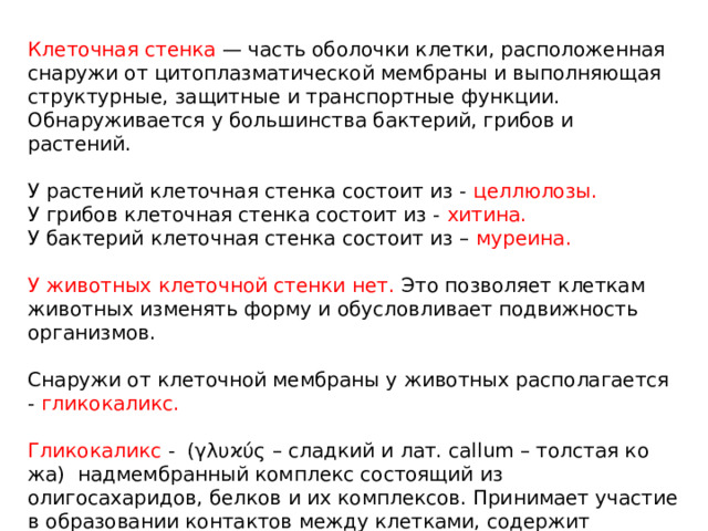 В образовании верхних стенок орбит принимают участие