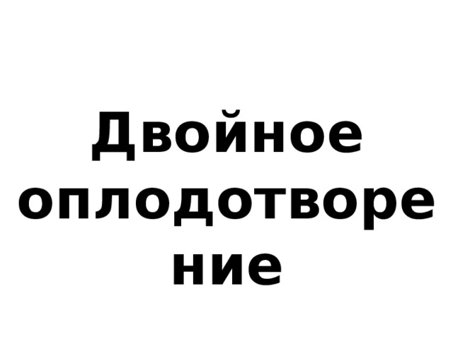 Презентация биология оплодотворение 10 класс биология