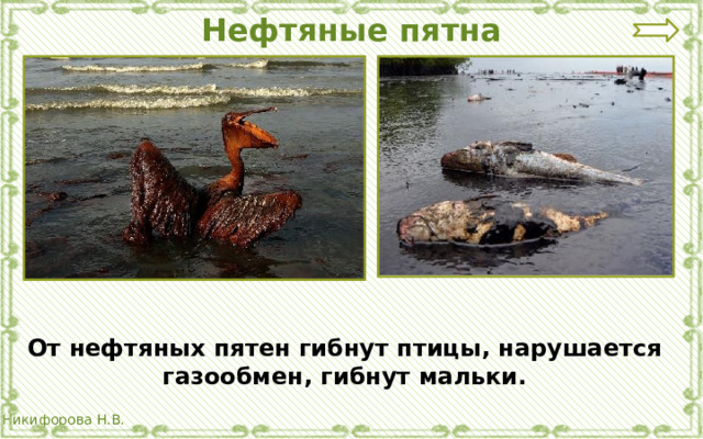 Нефтяные пятна От нефтяных пятен гибнут птицы, нарушается газообмен, гибнут мальки. 