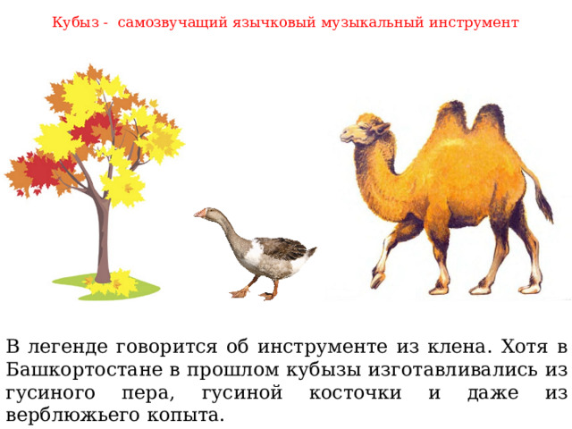 Кубыз - самозвучащий язычковый музыкальный инструмент  В легенде говорится об инструменте из клена. Хотя в Башкортостане в прошлом кубызы изготавливались из гусиного пера, гусиной косточки и даже из верблюжьего копыта. 