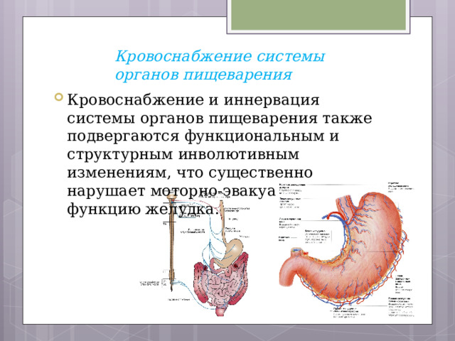 Афо жкт у детей презентация