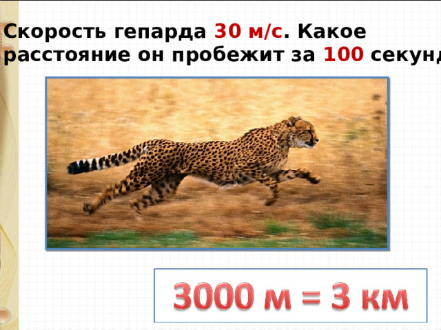 Скорость гепарда 30 м/с . Какое расстояние он пробежит за 100 секунд? 