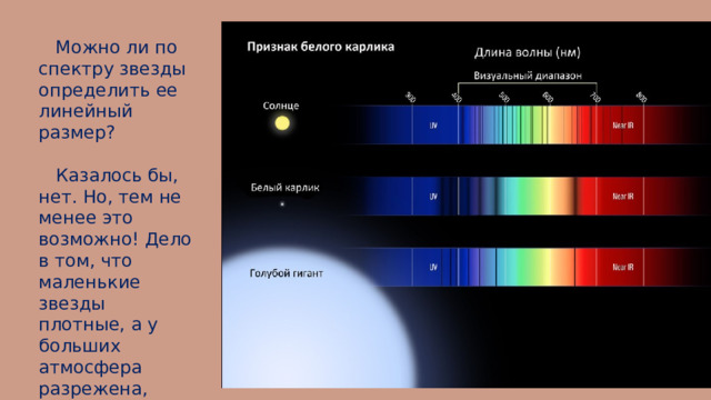  Можно ли по спектру звезды определить ее линейный размер?  Казалось бы, нет. Но, тем не менее это возможно! Дело в том, что маленькие звезды плотные, а у больших атмосфера разрежена, поэтому газ в их атмосферах находится в разных условиях. Когда мы получаем спектры так называемых звезд-карликов и звезд-гигантов, то сразу же видим различия в характере спектральных линий (слайд 16 – Спектры звезд карликов и гигантов различаются шириной спектральных линий). В разреженной атмосфере гиганта каждый атом летает свободно, редко встречая соседей.  