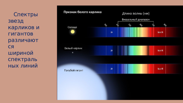  Спектры звезд карликов и гигантов различаются шириной спектральных линий Излучают все они практически одинаково, поскольку не мешают друг другу, так что спектральные линии гигантов имеют близкую к естественной ширину. А вот карлик – звезда массивная, но очень маленькая и, значит, с очень высокой плотностью газа. В ее атмосфере атомы постоянно взаимодействуют друг с другом, мешая излучать соседу на строго определенной частоте: потому что у каждого есть свое электрическое поле, которое влияет на поле соседа. Из-за того, что атомы находятся в разных условиях окружения, происходит так называемое штарковское уширение линии. Т.е. по форме, как говорят, «крыльев» спектральных линий мы сразу угадываем плотность газа на поверхности звезды и ее типичный размер.  