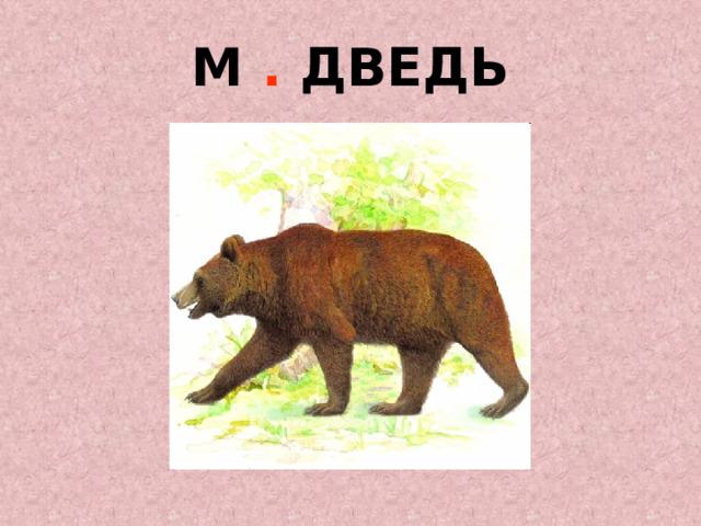 М . ДВЕДЬ 