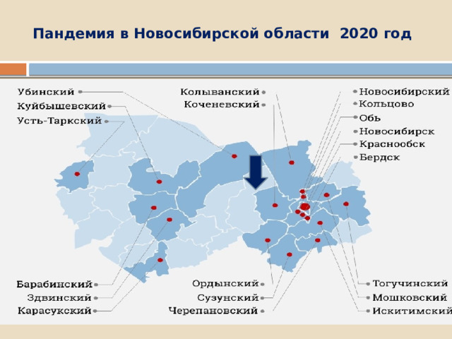 Пандемия в Новосибирской области 2020 год   