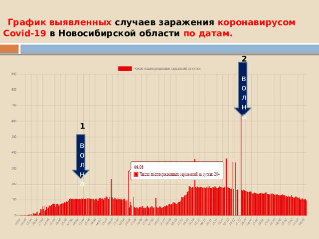 График выявленных случаев заражения коронавирусом Covid-19 в Новосибирской области по датам. 2 волна 1 волна 