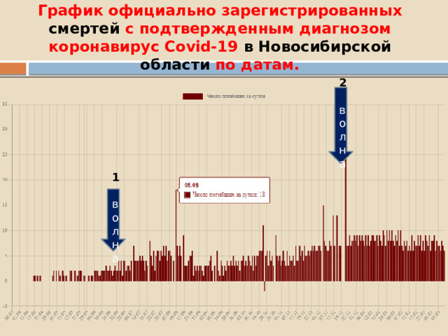 График официально зарегистрированных смертей с подтвержденным диагнозом коронавирус Covid-19 в  Новосибирской области по датам.      2 волна 1 волна 