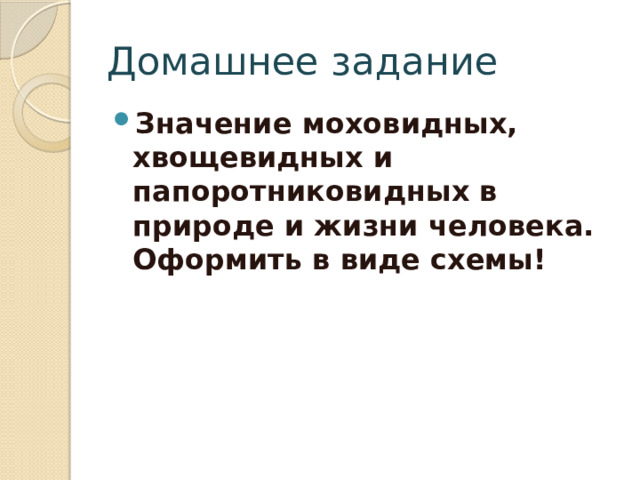 Домашнее задание Значение моховидных, хвощевидных и папоротниковидных в природе и жизни человека. Оформить в виде схемы! 