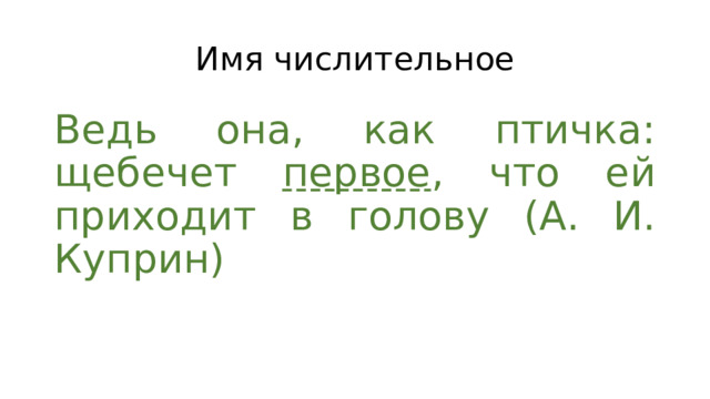 Имя числительное Ведь она, как птичка: щебечет первое , что ей приходит в голову (А. И. Куприн) 