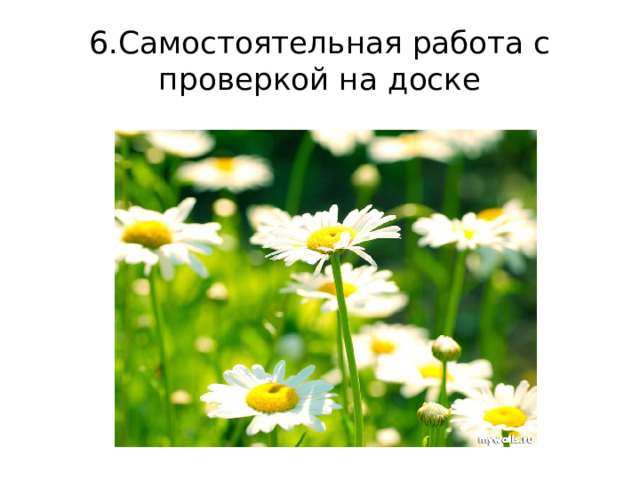 6.Самостоятельная работа с проверкой на доске 
