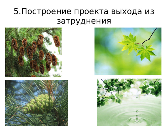 5.Построение проекта выхода из затруднения 