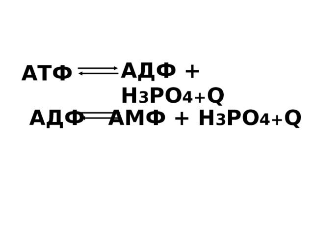 Атф и адф