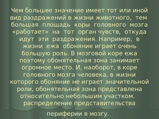 Чем большее значение имеет тот или иной вид раздражений в жизни животного, тем большая площадь коры головного мозга «работает» на тот орган чувств, откуда идут эти раздражения. Например, в жизни ежа обоняние играет очень большую роль. В мозговой коре ежа поэтому обонятельная зона занимает огромное место. И, наоборот, в коре головного мозга человека, в жизни которого обоняние не играет значительной роли, обонятельная зона представлена относительно небольшим участком.  распределение представительства периферии в мозгу.  