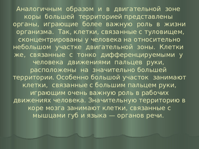 Аналогичным образом и в двигательной зоне коры большей территорией представлены органы, играющие более важную роль в жизни организма. Так, клетки, связанные с туловищем, сконцентрированы у человека на относительно небольшом участке двигательной зоны. Клетки же, связанные с тонко дифференцируемыми у человека движениями пальцев руки, расположены на значительно большей территории. Особенно большой участок занимают клетки, связанные с большим пальцем руки, играющим очень важную роль в рабочих движениях человека. Значительную территорию в коре мозга занимают клетки, связанные с мышцами губ и языка — органов речи. 