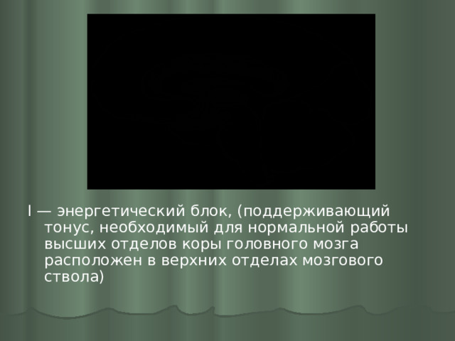 I — энергетический блок, (поддерживающий тонус, необходимый для нормальной работы высших отделов коры головного мозга расположен в верхних отделах мозгового ствола) 