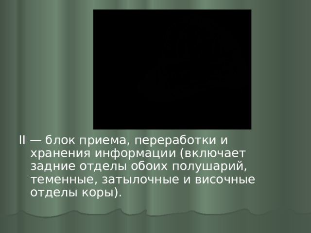 II — блок приема, переработки и хранения информации (включает задние отделы обоих полушарий, теменные, затылочные и височные отделы коры). 