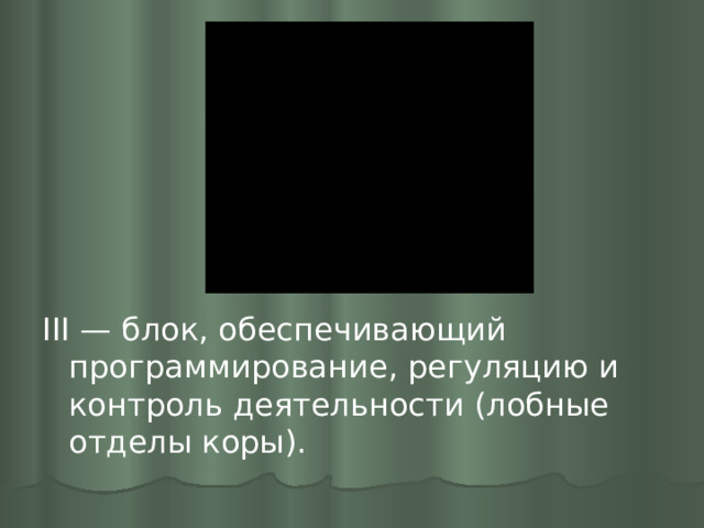 III — блок, обеспечивающий программирование, регуляцию и контроль деятельности (лобные отделы коры). 