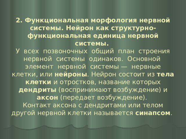 2. Функциональная морфология нервной системы. Нейрон как структурно-функциональная единица нервной системы.  У всех позвоночных общий план строения нервной системы одинаков. Основной элемент нервной системы — нервные клетки, или нейроны . Нейрон состоит из тела клетки и отростков, название которых дендриты (воспринимают возбуждение) и аксон (передает возбуждение).  Контакт аксона с дендритами или телом другой нервной клетки называется синапсом . 