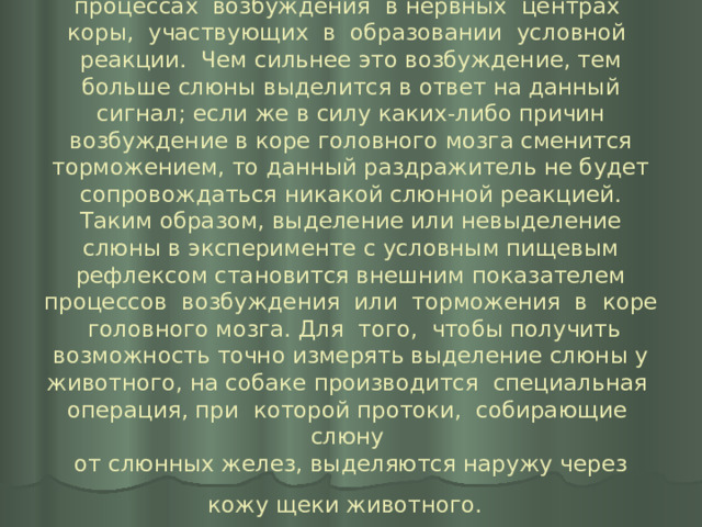 Условная слюнная реакция позволяет судить о процессах возбуждения в нервных центрах коры, участвующих в образовании условной реакции. Чем сильнее это возбуждение, тем больше слюны выделится в ответ на данный сигнал; если же в силу каких-либо причин возбуждение в коре головного мозга сменится торможением, то данный раздражитель не будет сопровождаться никакой слюнной реакцией. Таким образом, выделение или невыделение слюны в эксперименте с условным пищевым рефлексом становится внешним показателем процессов возбуждения или торможения в коре головного мозга. Для того, чтобы получить возможность точно измерять выделение слюны у животного, на собаке производится специальная операция, при которой протоки, собирающие слюну  от слюнных желез, выделяются наружу через кожу щеки животного.  