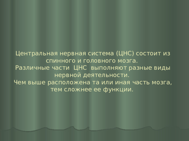 Центральная нервная система (ЦНС) состоит из спинного и головного мозга.  Различные части ЦНС выполняют разные виды нервной деятельности.  Чем выше расположена та или иная часть мозга, тем сложнее ее функции. 