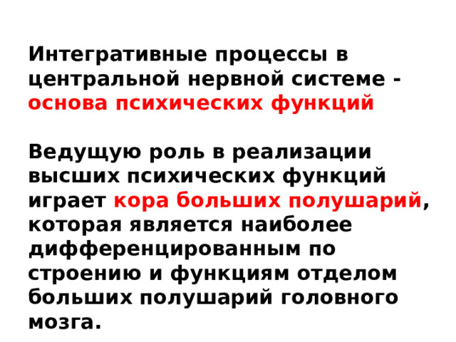  Интегративные процессы в центральной нервной системе - основа психических функций  Ведущую роль в реализации высших психических функций играет кора больших полушарий , которая является наиболее дифференцированным по строению и функциям отделом больших полушарий головного мозга. 