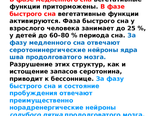 В фазе медленного сна вегетативные функции приторможены. В фазе быстрого сна вегетативные функции активируются. Фаза быстрого сна у взрослого человека занимает до 25 %, у детей до 60–80 % периода сна. За фазу медленного сна отвечают серотонинергические нейроны ядра шва продолговатого мозга. Разрушение этих структур, как и истощение запасов серотонина, приводит к бессоннице. За фазу быстрого сна и состояние пробуждения отвечают преимущественно норадренергические нейроны голубого пятна продолговатого мозга. 