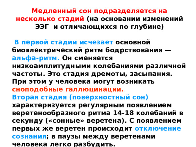 Медленный сон подразделяется на несколько стадий (на основании изменений ЭЭГ и отличающихся по глубине)   В первой стадии  исчезает основной биоэлектрический ритм бодрствования — альфа-ритм. Он сменяется низкоамплитудными колебаниями различной частоты. Это стадия дремоты, засыпания. При этом у человека могут возникать сноподобные галлюцинации. Вторая стадия (поверхностный сон)  характеризуется регулярным появлением веретенообразного ритма 14-18 колебаний в секунду («сонные» веретена). С появлением первых же веретен происходит отключение сознания ; в паузы между веретенами человека легко разбудить. 